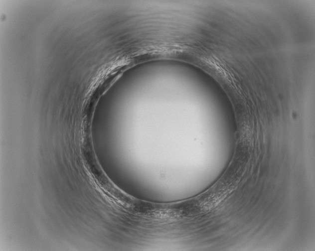 X0000059080736200510281723