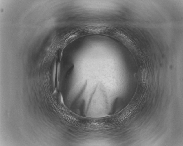 X0000059080737200510281723