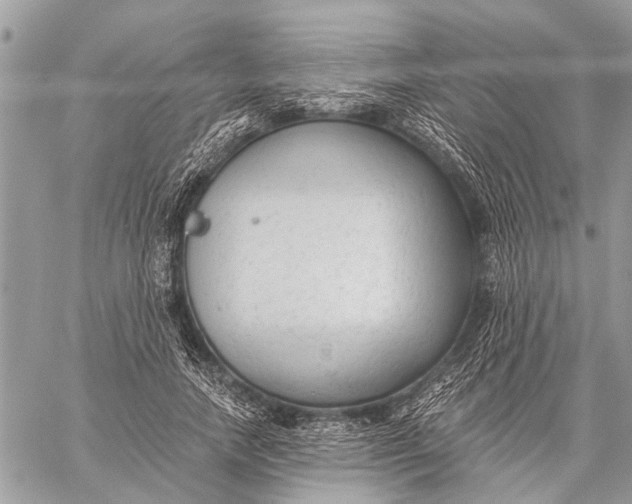 X0000059080738200510281723