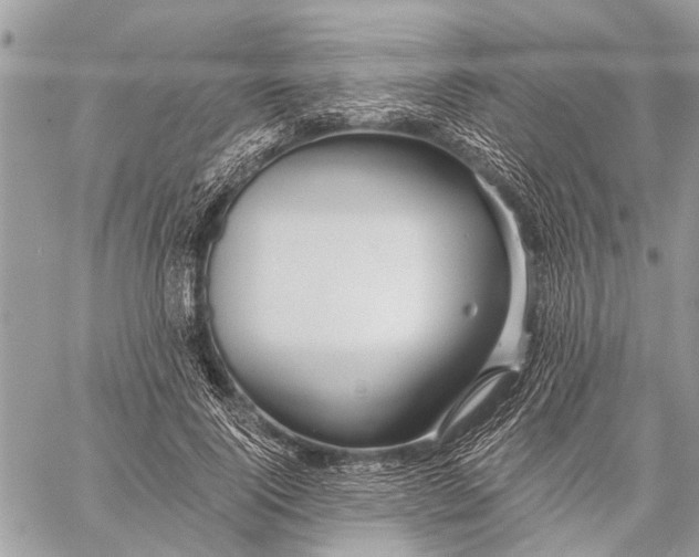 X0000059080740200510281723