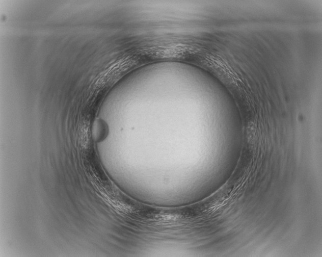 X0000059080741200510281723