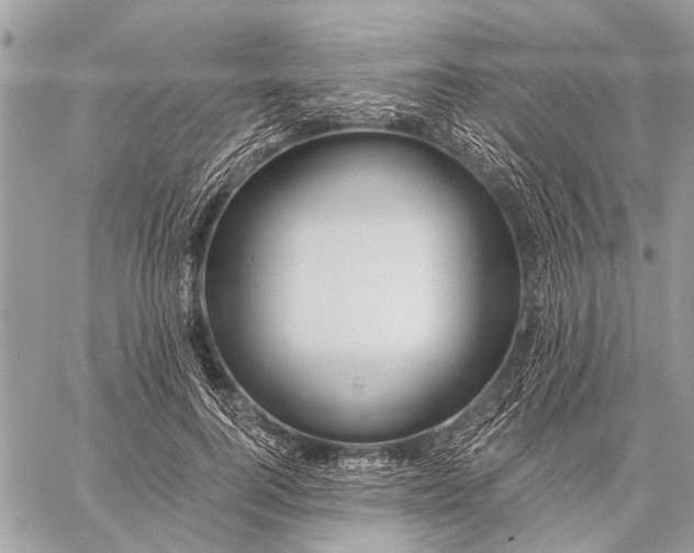 X0000059080744200510281723