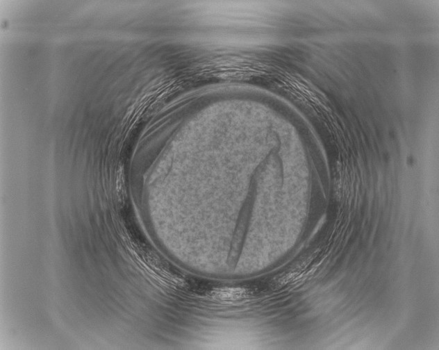 X0000059080748200510281723