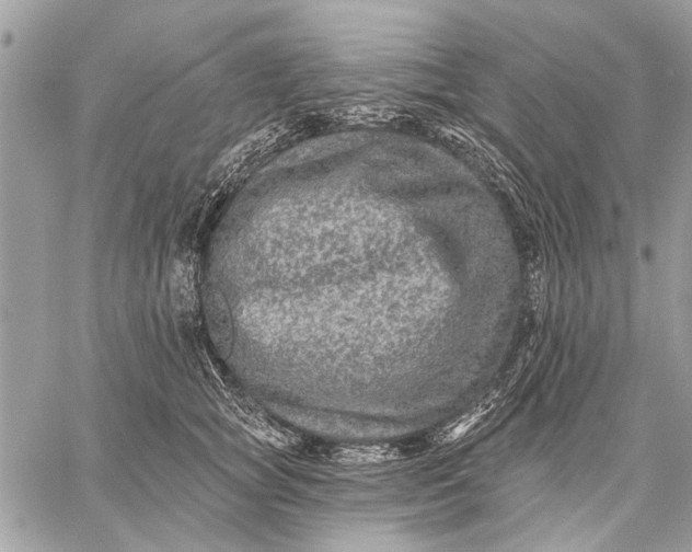 X0000059080757200510281723