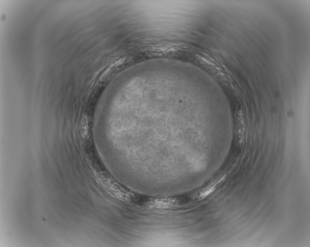 X0000059080758200510281723