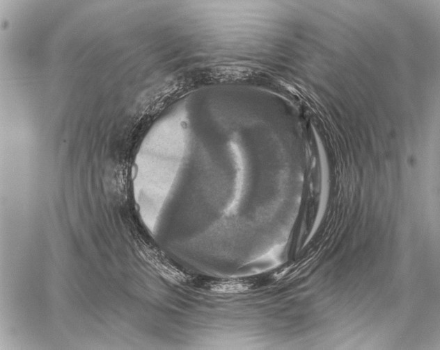 X0000059080759200510281723