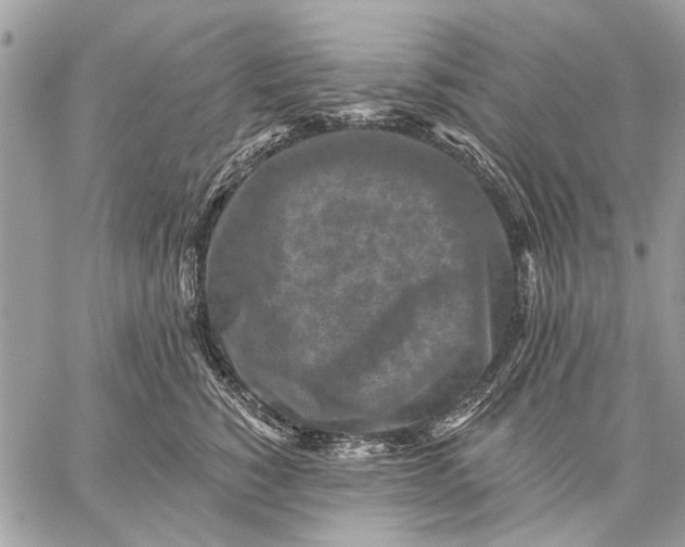 X0000059080760200510281723