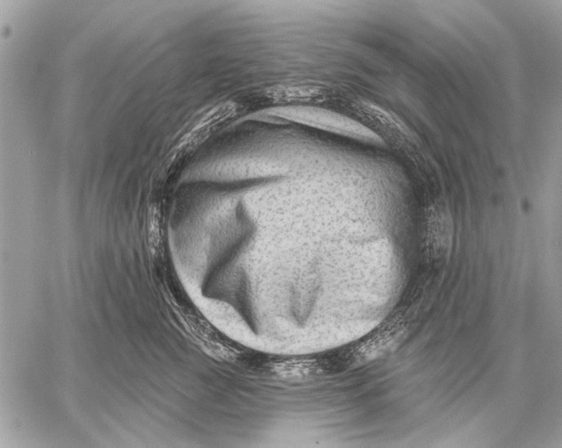 X0000059080761200510281723