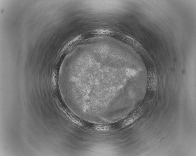 X0000059080762200510281723