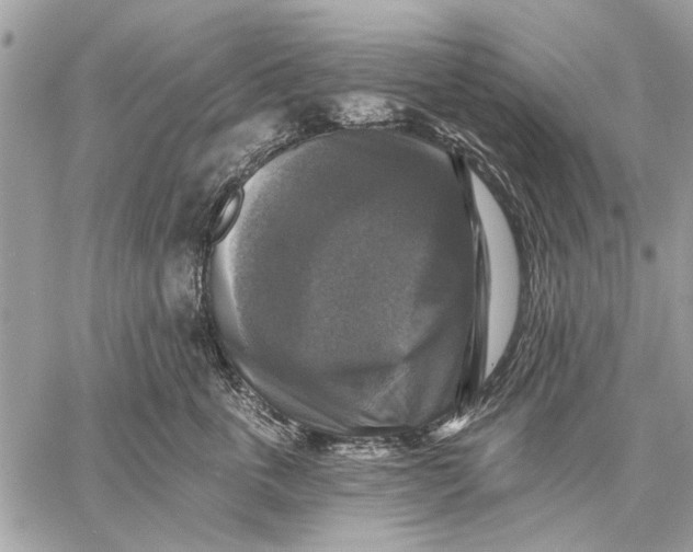 X0000059080763200510281723