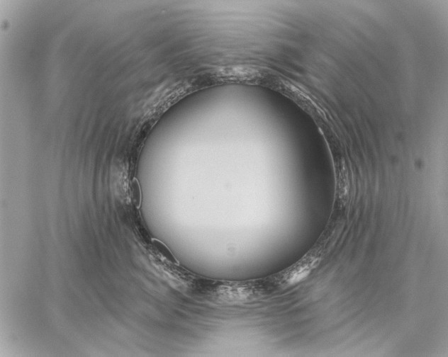 X0000059080764200510281723