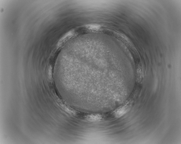 X0000059080765200510281723