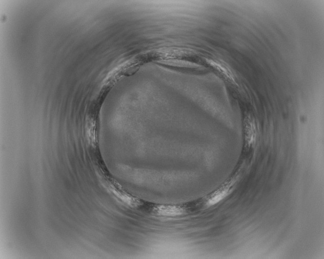 X0000059080766200510281723