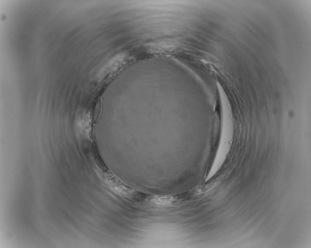 X0000059080767200510281723