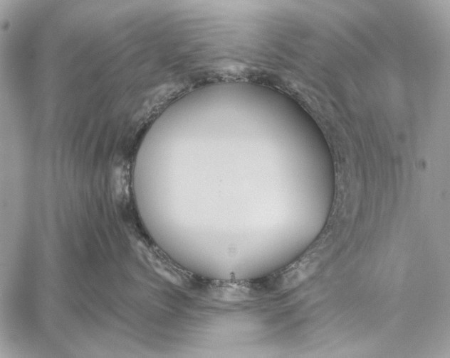 X0000059080768200510281723