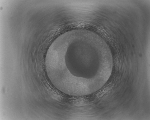 X0000059080769200510281723