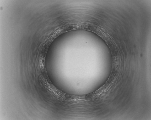 X0000059080770200510281723