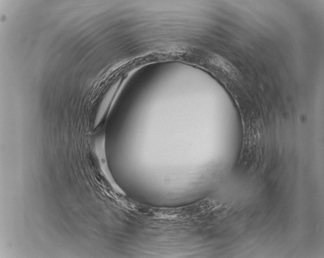 X0000059080773200510281722