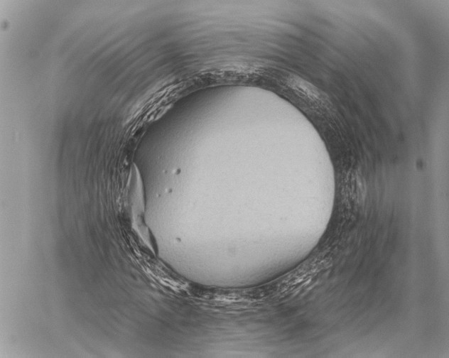 X0000059080774200510281722