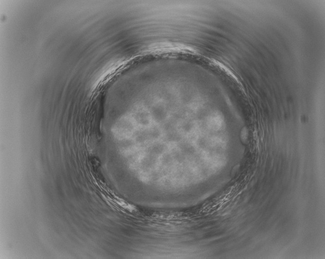 X0000059080775200510281722