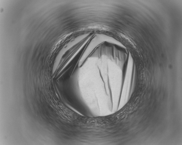 X0000059080776200510281722