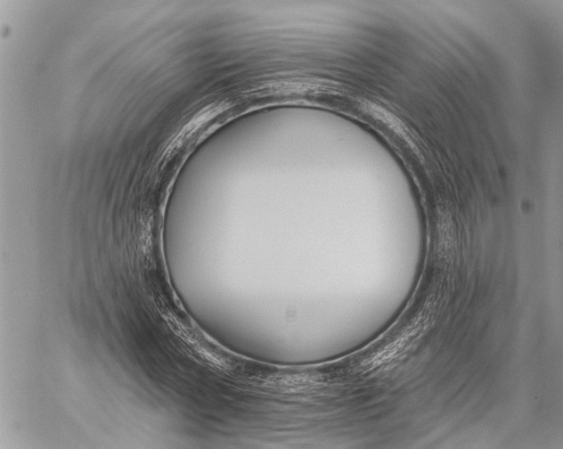 X0000059080778200510281722