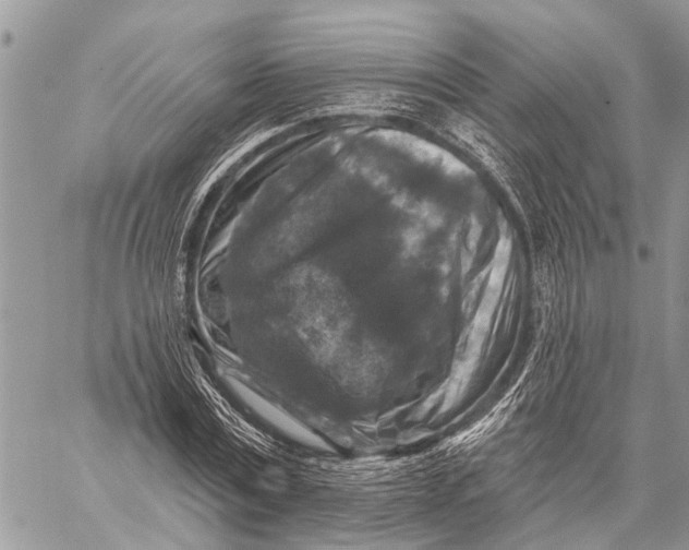 X0000059080779200510281722