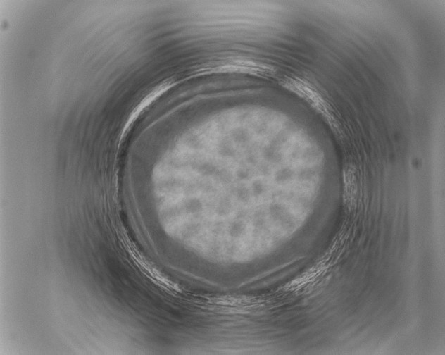 X0000059080780200510281722