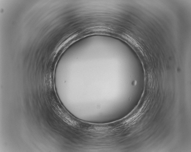 X0000059080782200510281722