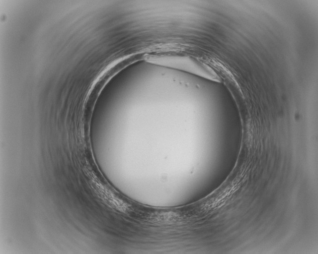 X0000059080784200510281722