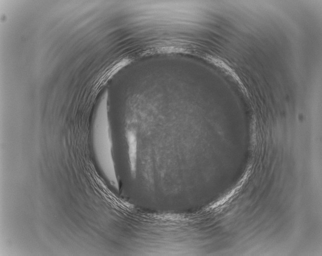 X0000059080785200510281722