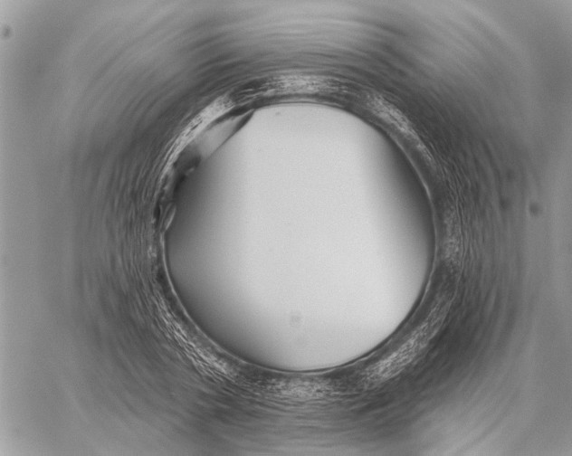 X0000059080786200510281722