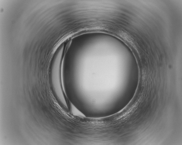 X0000059080789200510281722