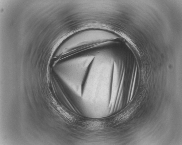 X0000059080791200510281722