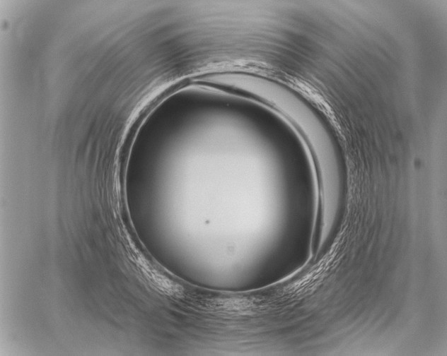 X0000059080792200510281722