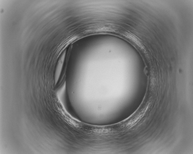 X0000059080793200510281722