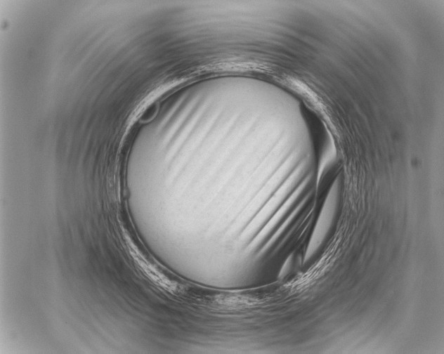 X0000059080795200510281722