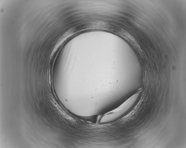 X0000059080796200510281722