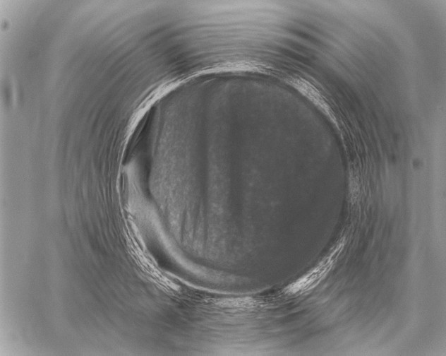 X0000059080797200510281722