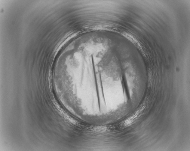 X0000059080798200510281722