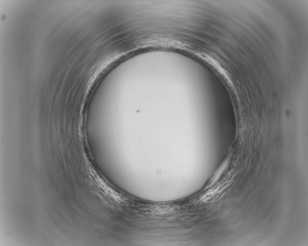 X0000059080799200510281722