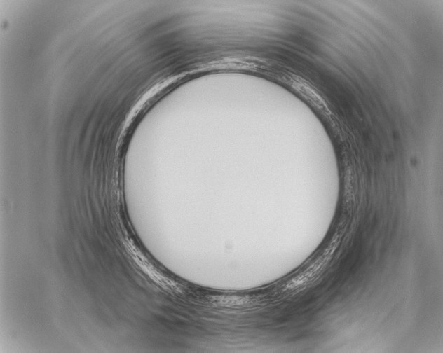 X0000059080800200510281722