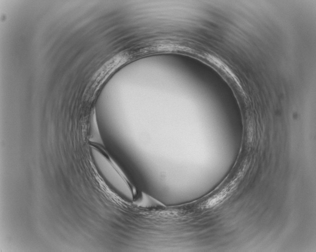 X0000059080801200510281722