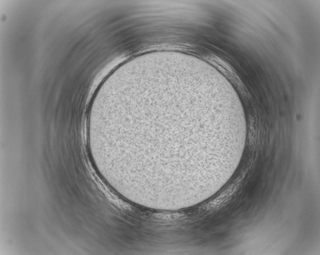 X0000059080804200510281722