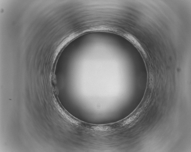 X0000059080805200510281722