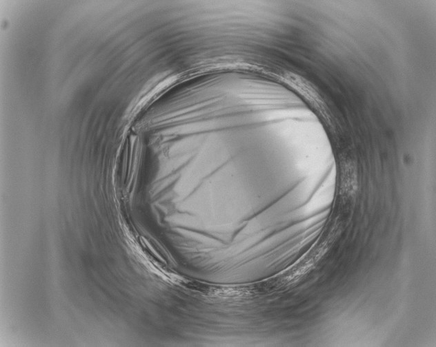 X0000059080806200510281722