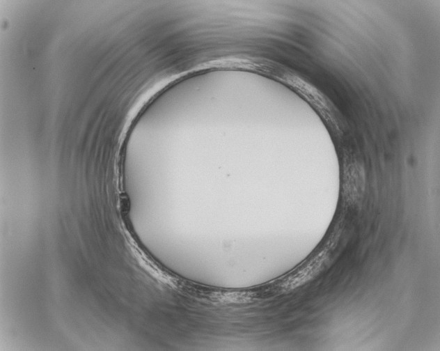 X0000059080808200510281722