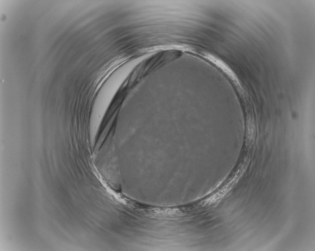 X0000059080809200510281722