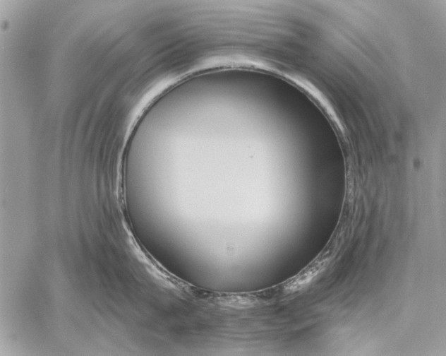 X0000059080815200510281722