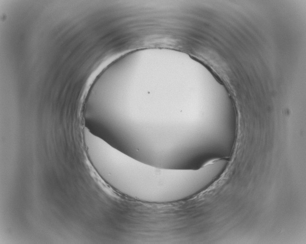 X0000059080816200510281722